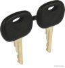 LINDE 0009730437 Key